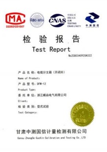 电缆分接箱检验报告